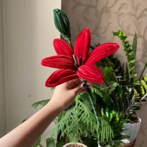 single-lily-red-romantica