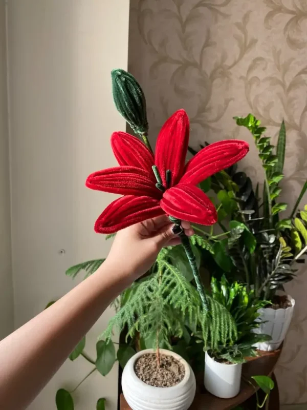 single-lily-red-romantica