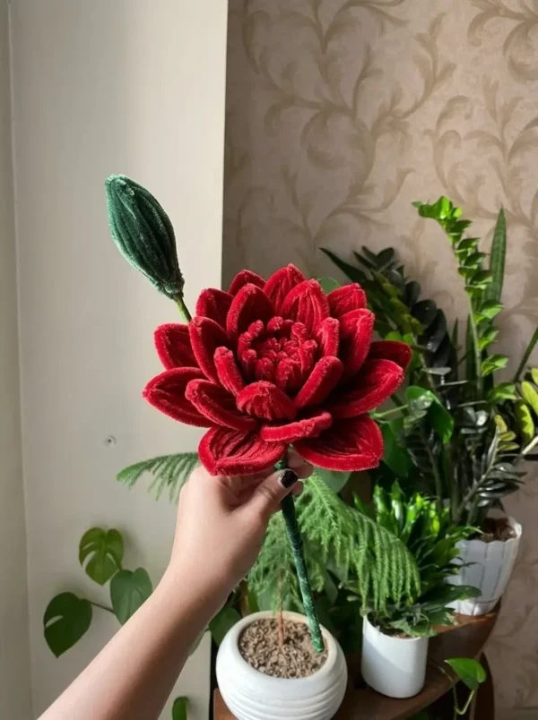 single-lotus-redromantica