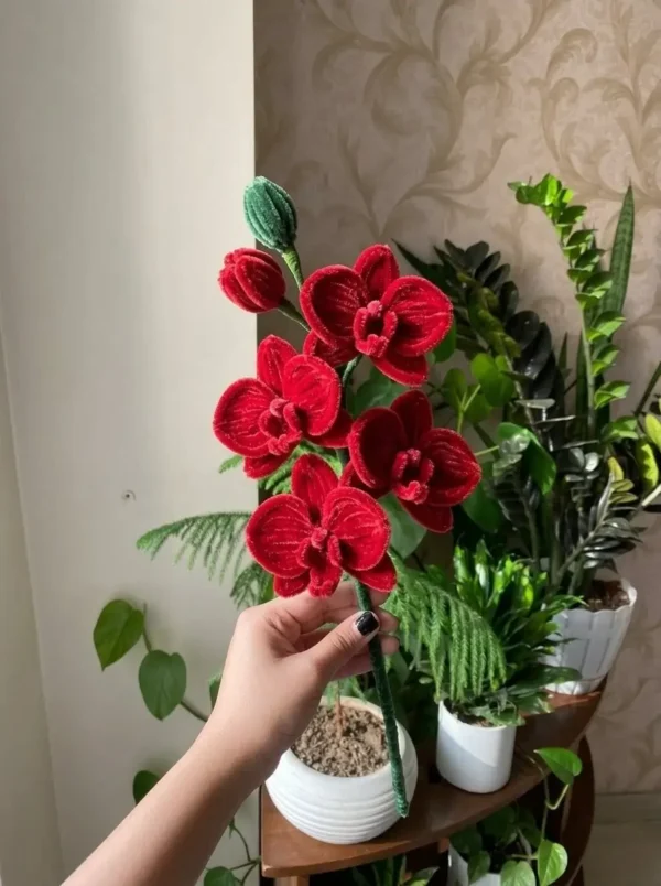 single-orchids-redromantica