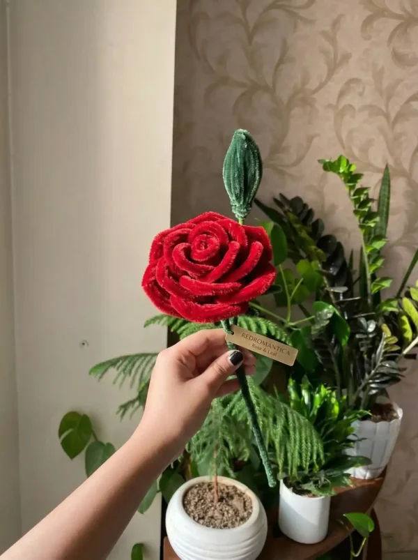 single-rose-red-romantica